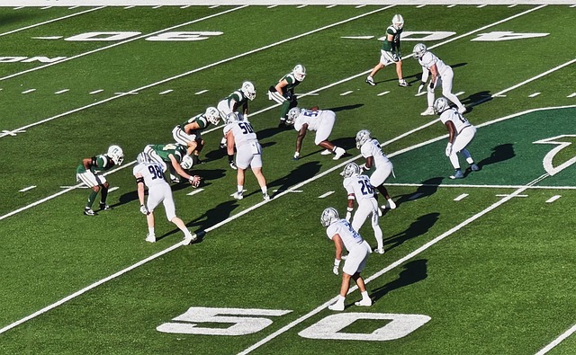 摘得冠军 摘得冠军